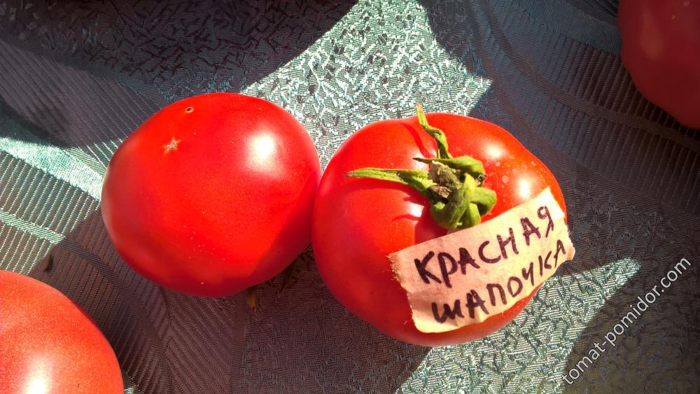 Красная Шапочка