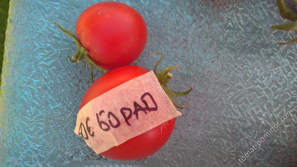 Де Борао