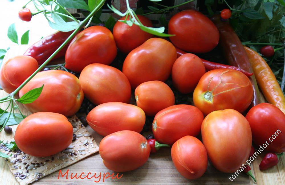 Миссури