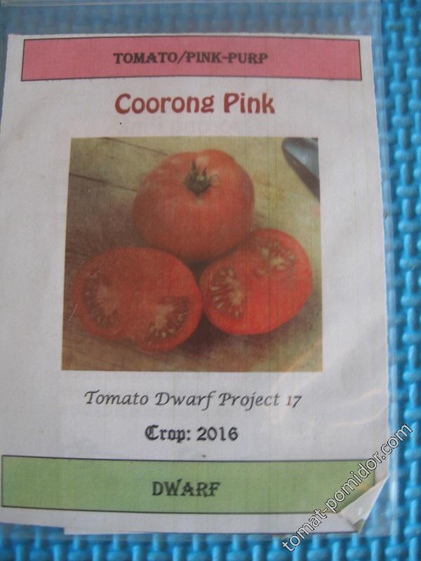 Dwarf Coorong Pink