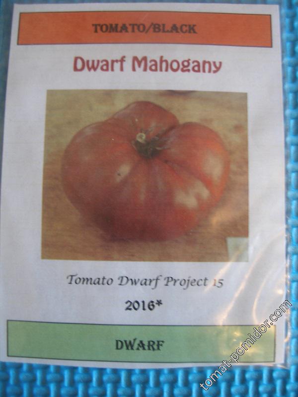Dwarf Mahogany