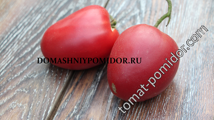 Hey’s Tomato