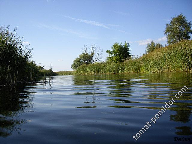 р. Сара