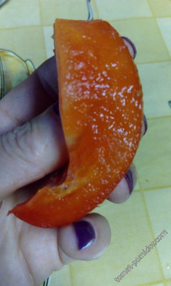 Манул