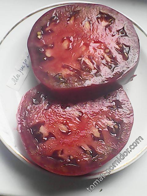 Маризол фиолетовый - плод 395 гр на разрезе
