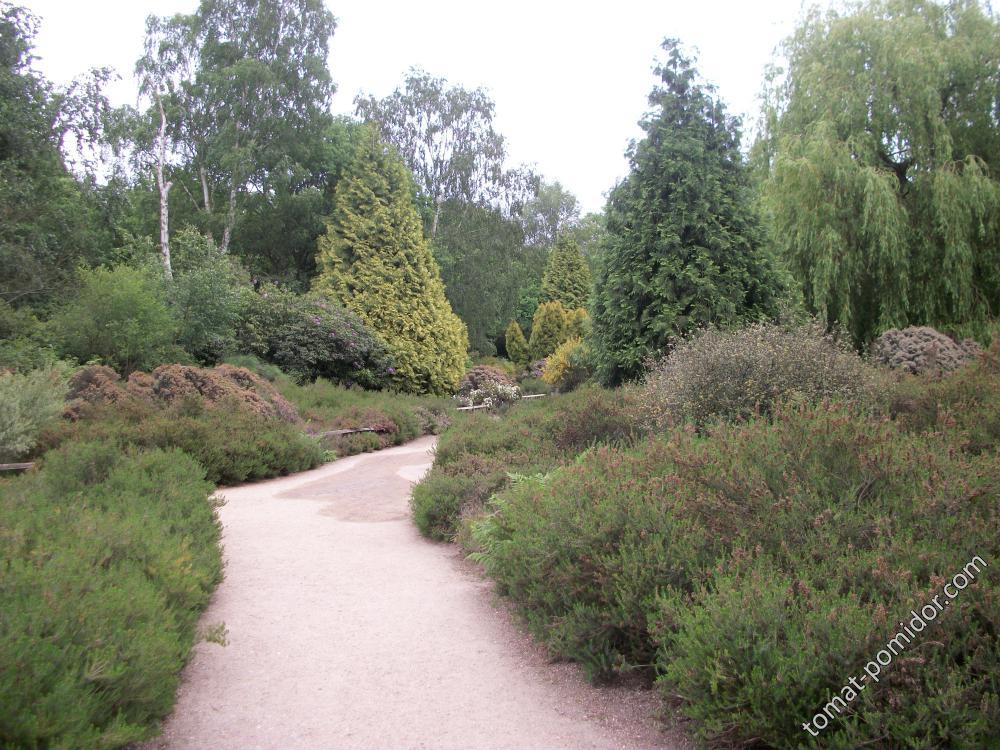 Isabella Plantation