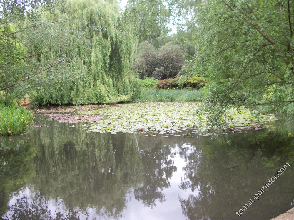 Isabella Plantation