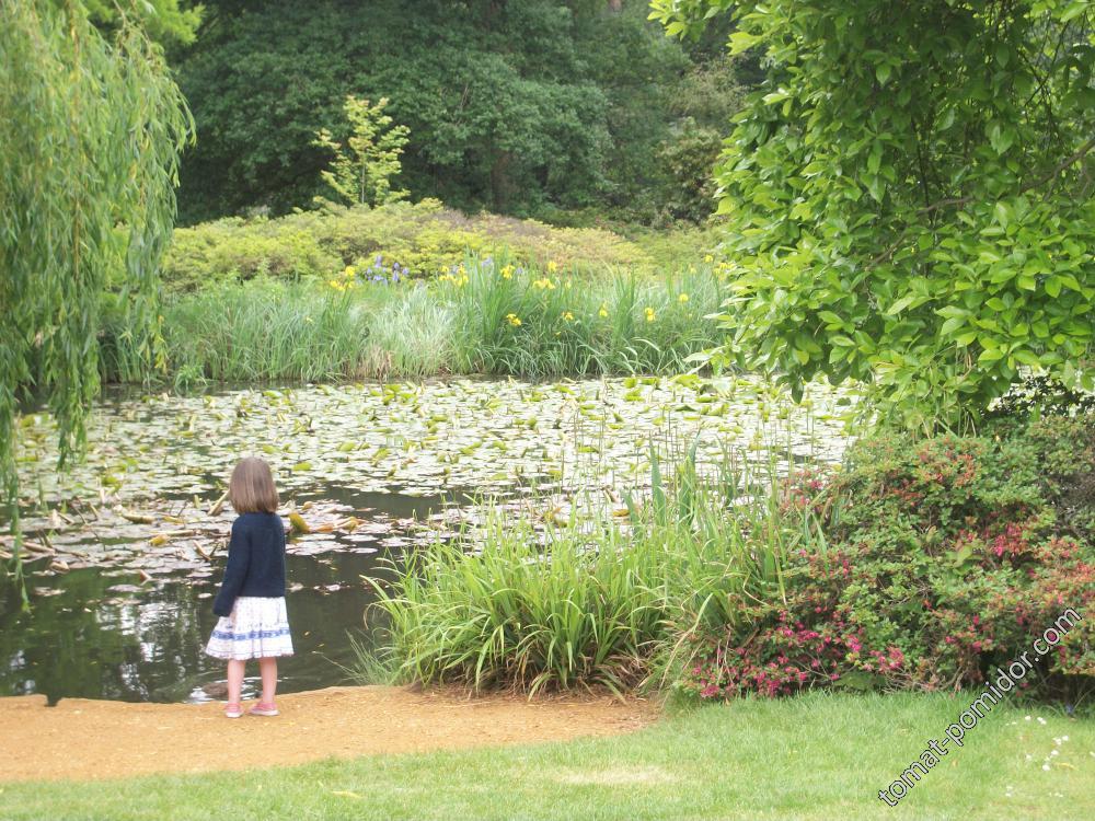 Isabella Plantation