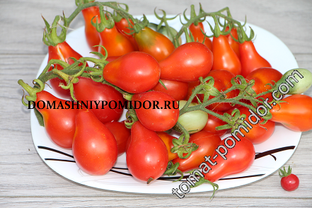 Засолочная грушка