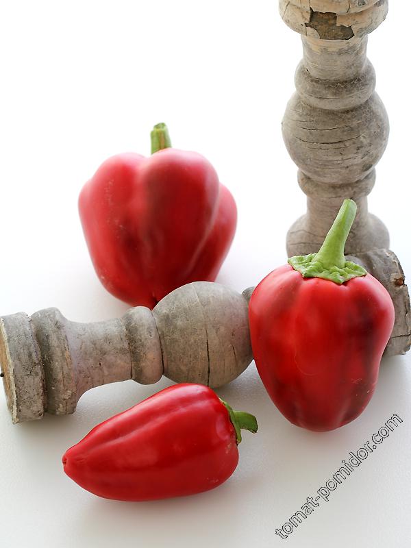 Pimento Pepper