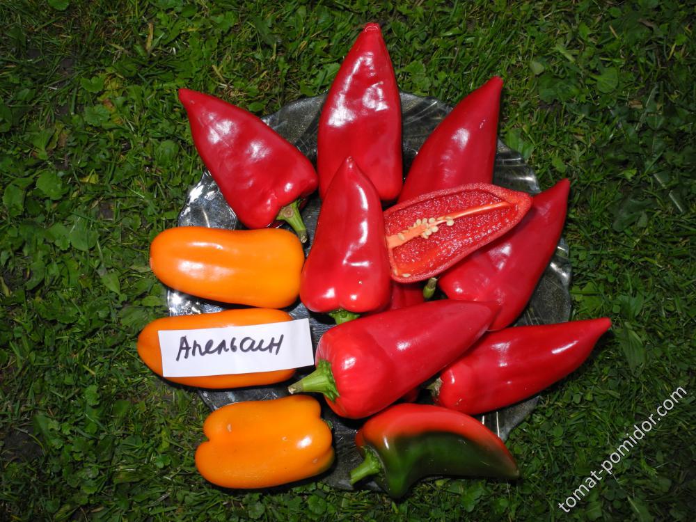 Pimiento del Piquillo