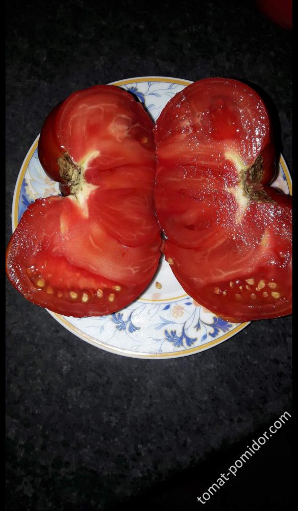 tomatoyunkie
