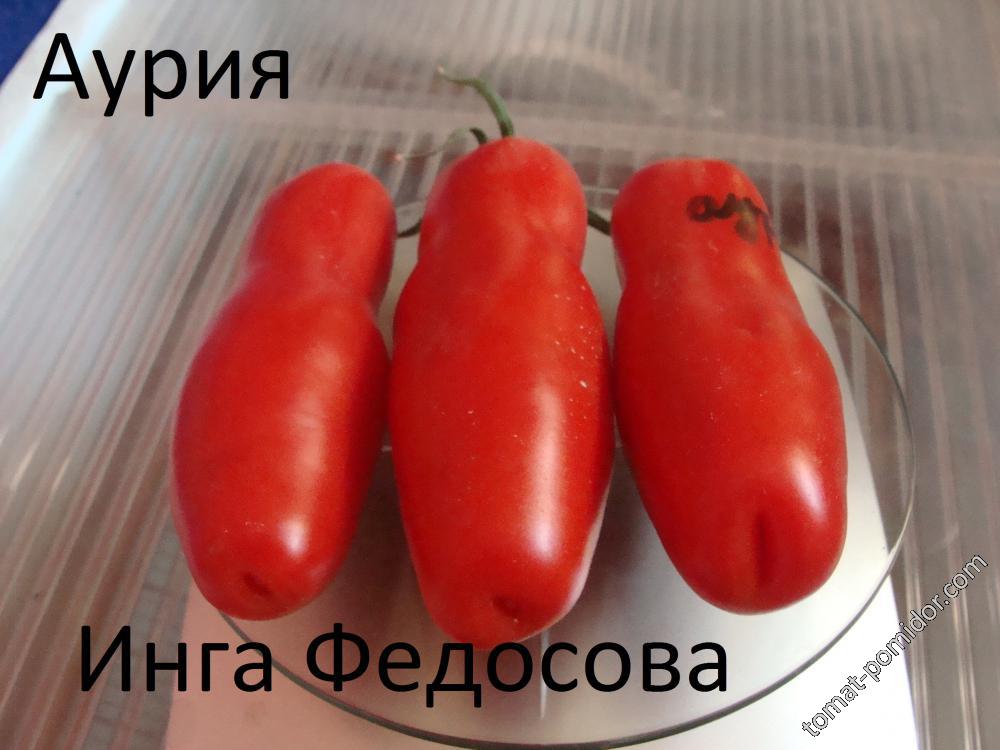 Аурия