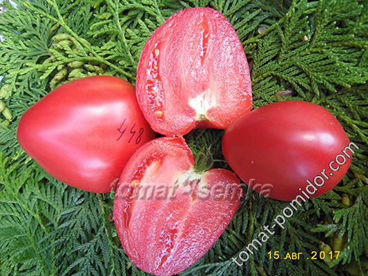 COEUR DE BOEUF ROSE (СЕРДЦЕ БЫКА РОЗОВОЕ), БЕЛЬГИЯ Оригинальный сорт "Сердце быка".