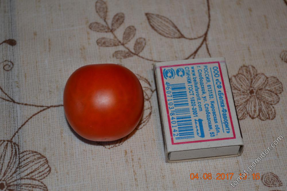 Штад томатен