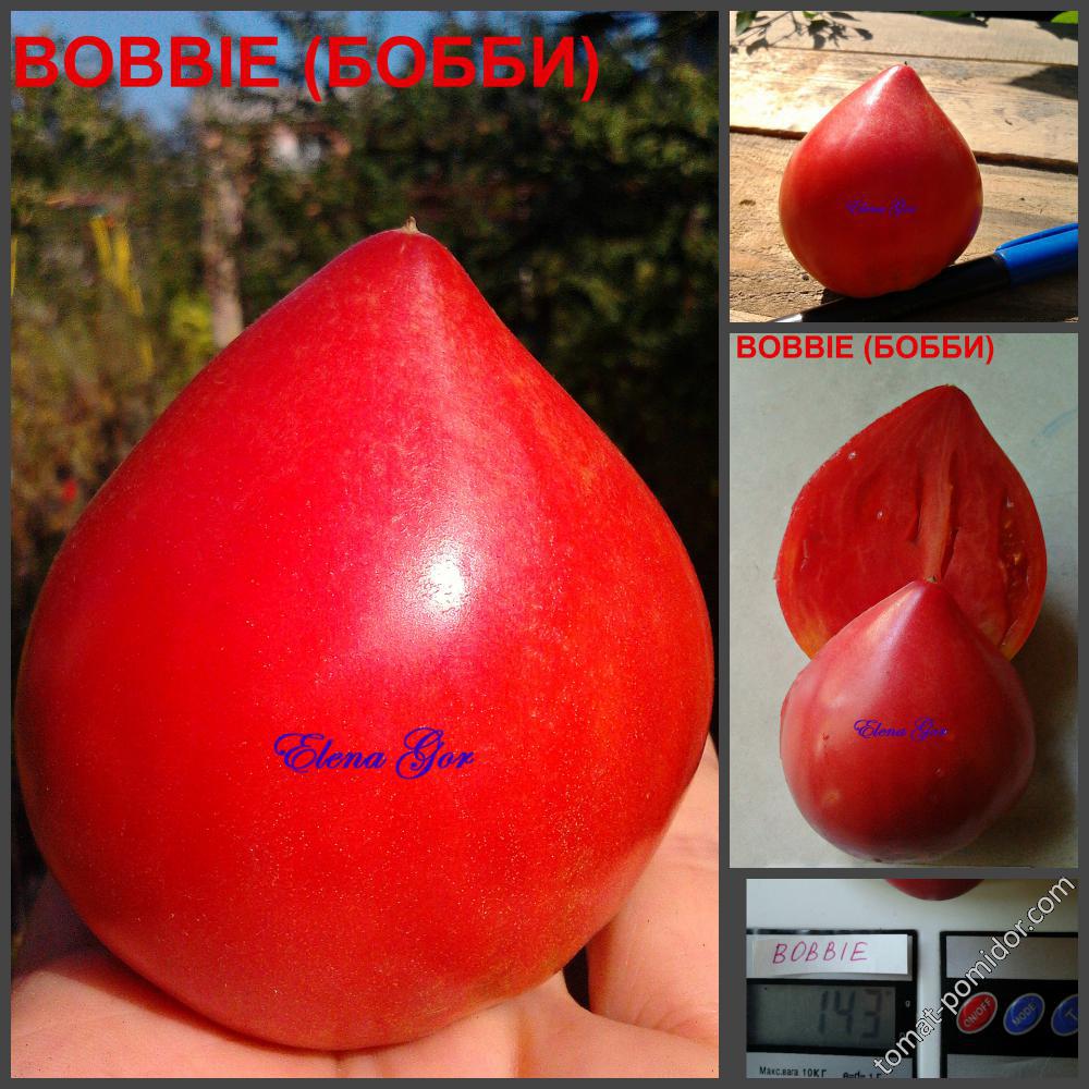 BOBBIE (БОББИ)