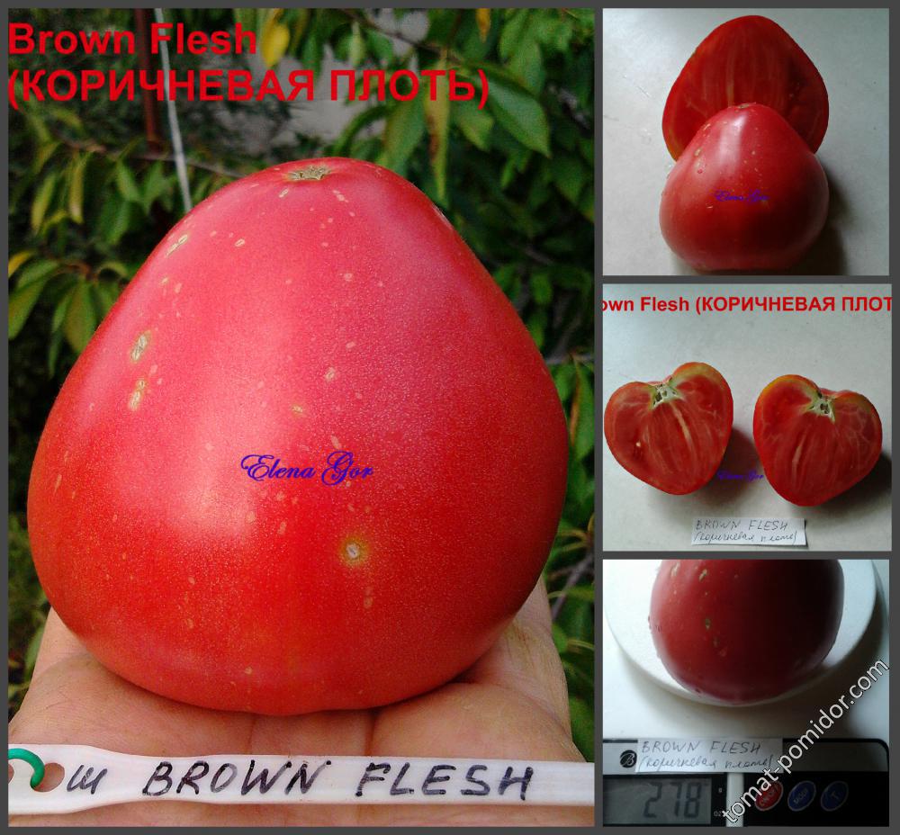 Brown Flesh (КОРИЧНЕВАЯ ПЛОТЬ)