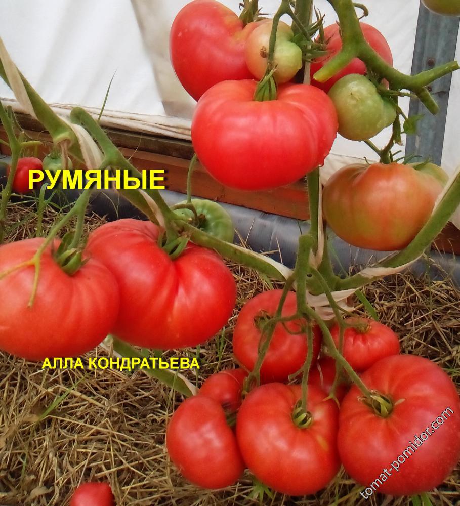 РУМЯНЫЕ