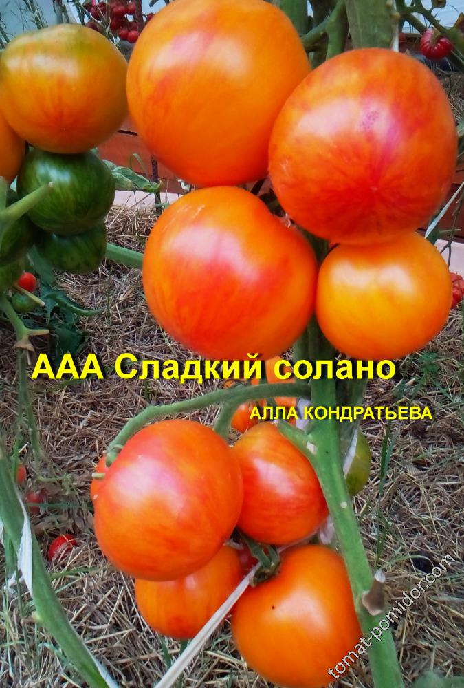 СЛАДКИЙ СОЛАНО