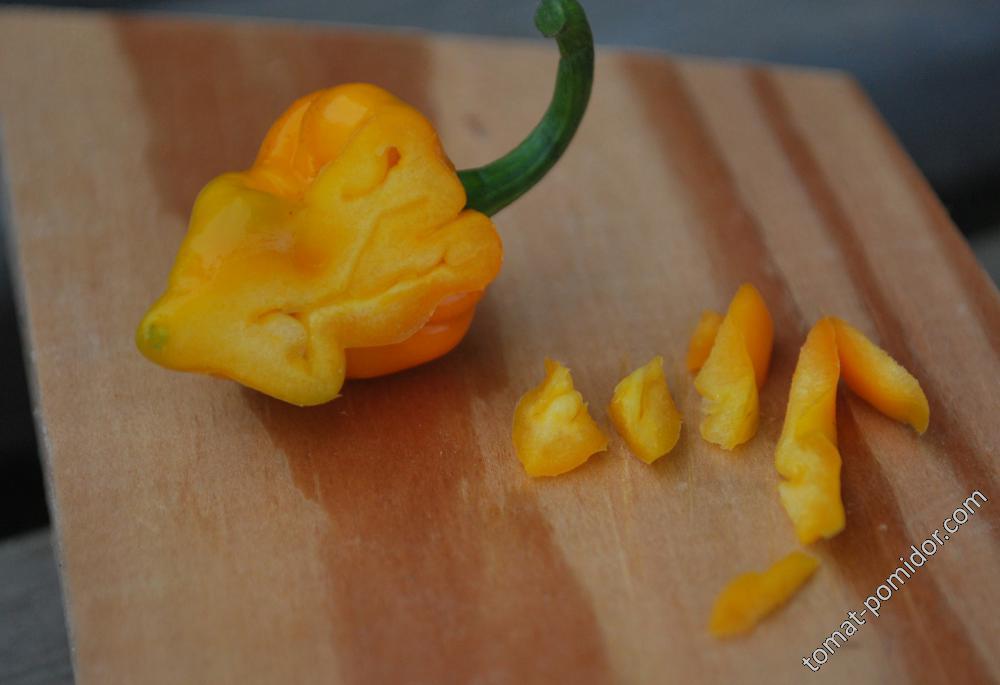 7Pot
