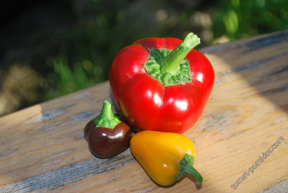 Hot Appl