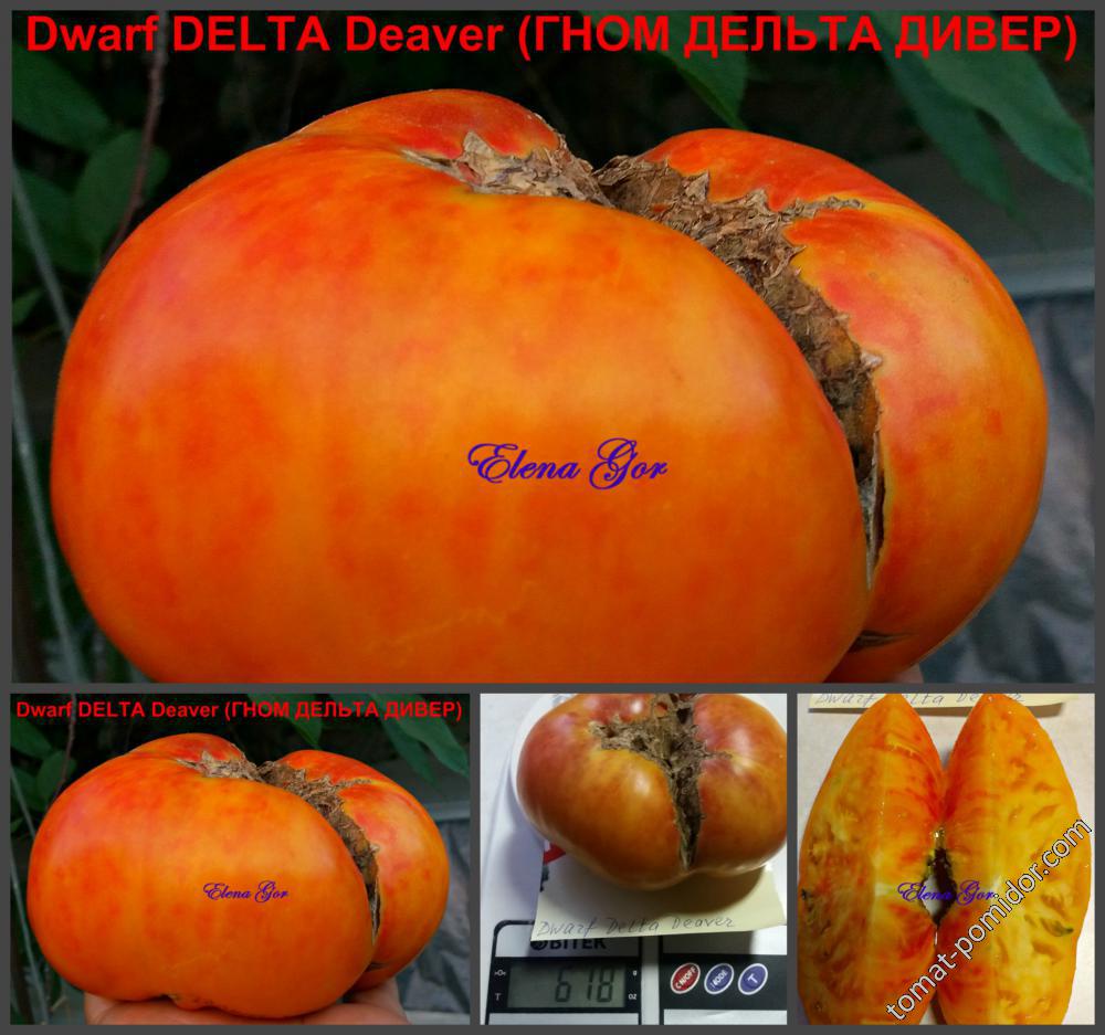 Dwarf DELTA Deaver (ГНОМ ДЕЛЬТА ДИВЕР)