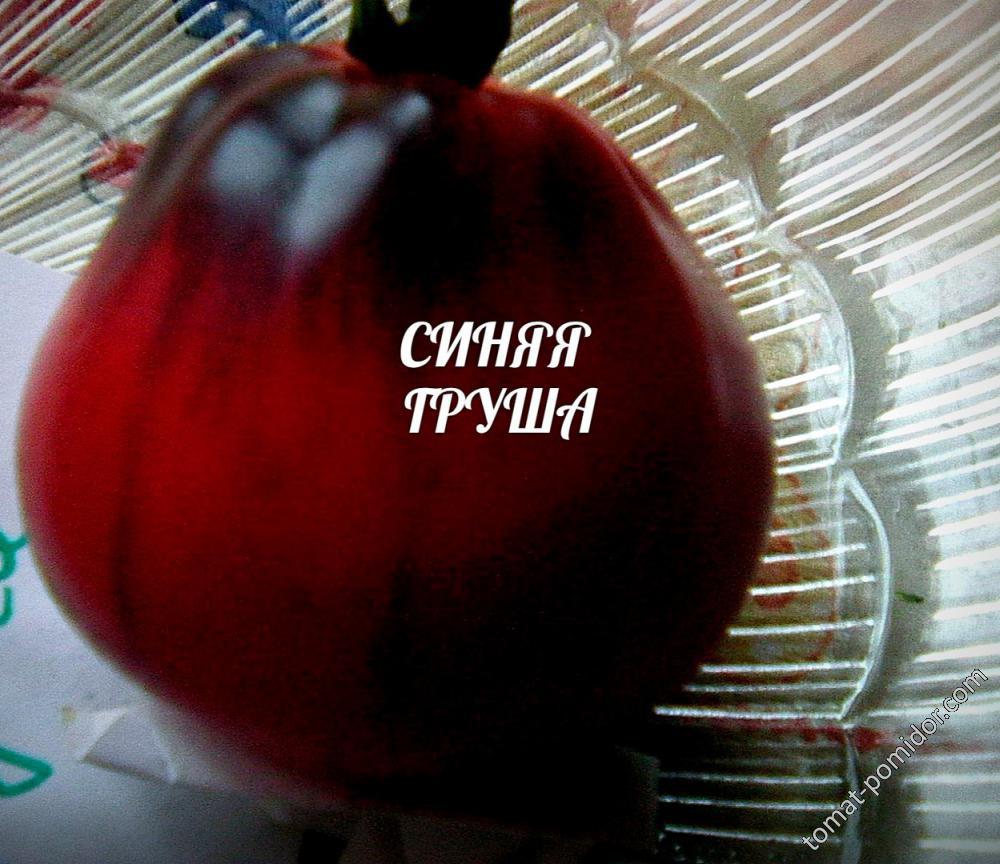 Синяя груша