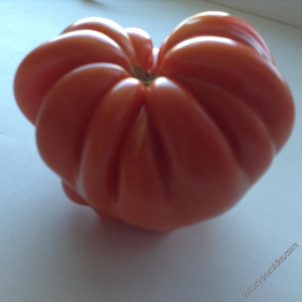 Салатный , махр цветок, семена от Томатинки 😍