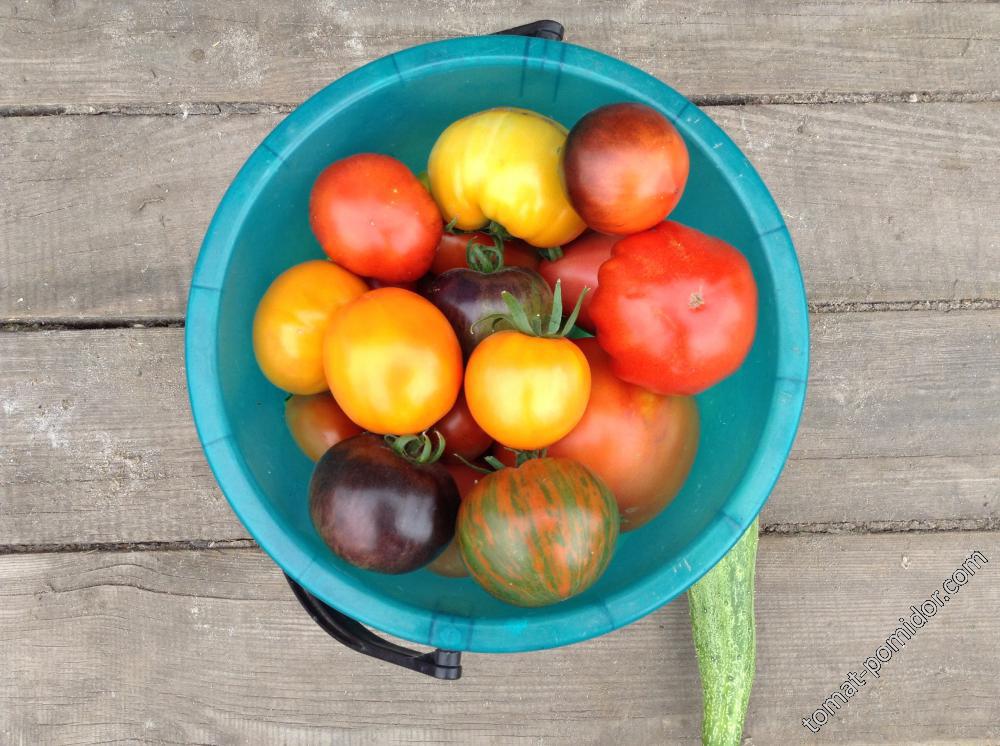 &#127813;&#127813;&#127813;