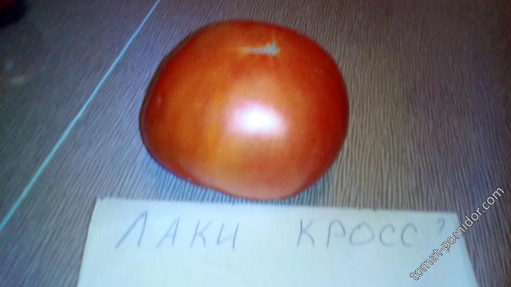 Лаки кросс?