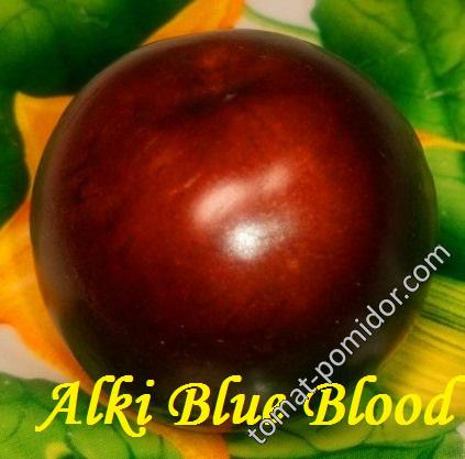 Alki Blue Blood