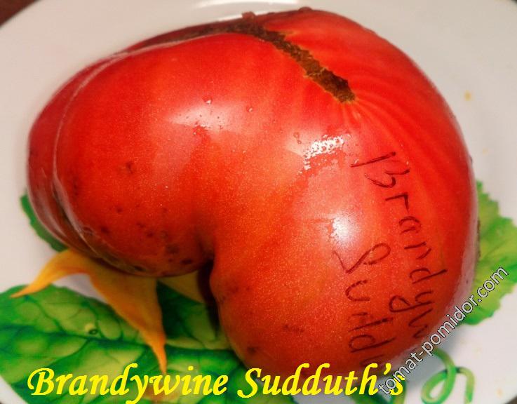 Brandywine Sudduth’s