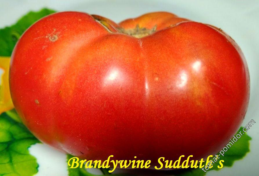 Brandywine Sudduth’s