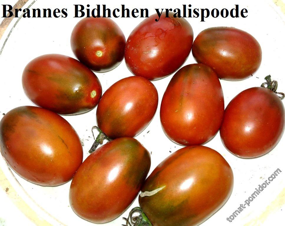 Brannes Bidhchen yralispoode