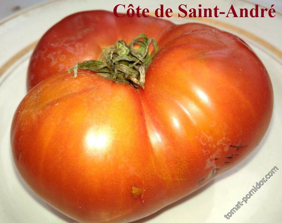 Côte de Saint-André