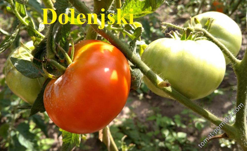 Dolenjski