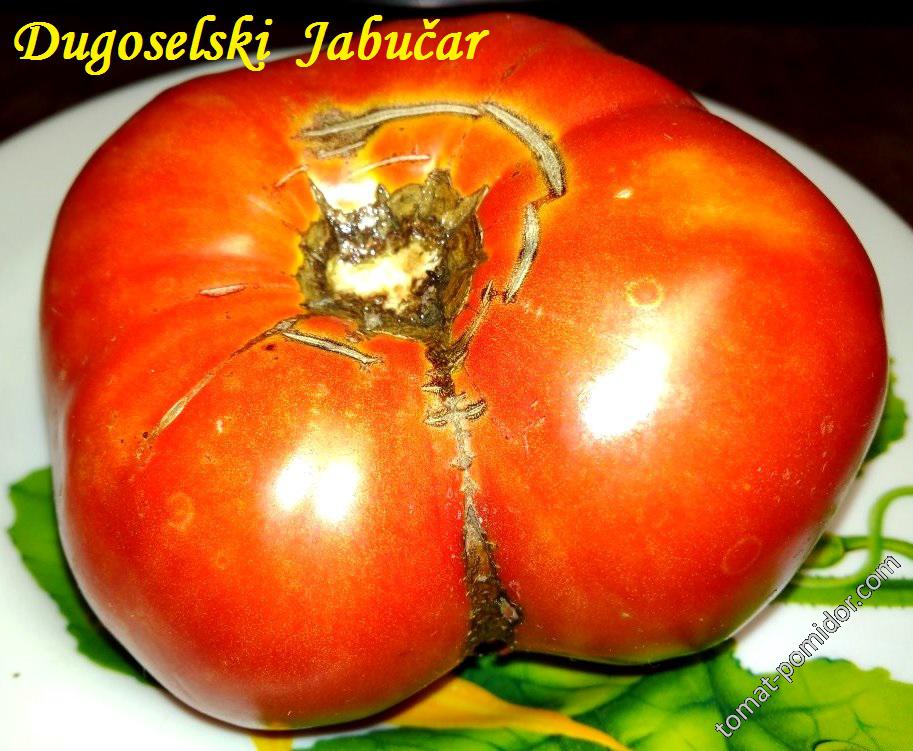 Dugoselski  Jabučar