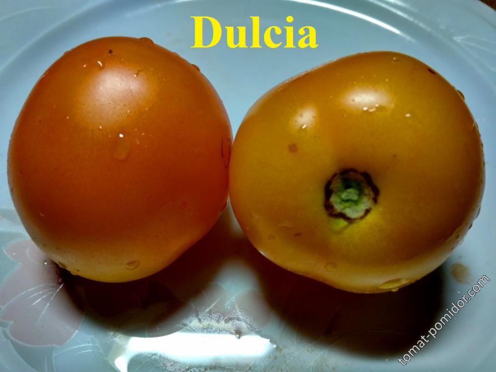 Dulcia