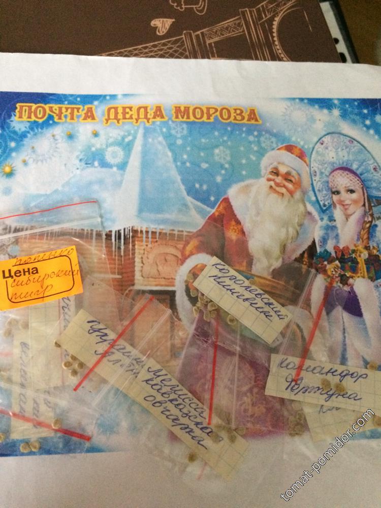 Почта Деда Мороза (от Светочки)
