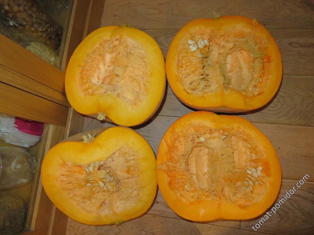 Kaempe Melon