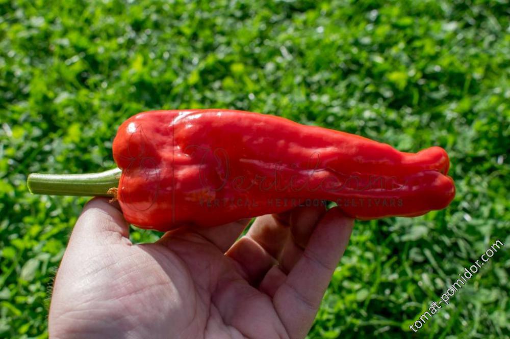 кандидат на посадку Pimiento Cristal