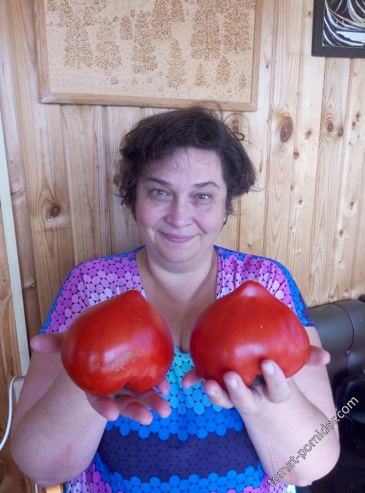 Подруга Ирина и томаты Фатер рейн