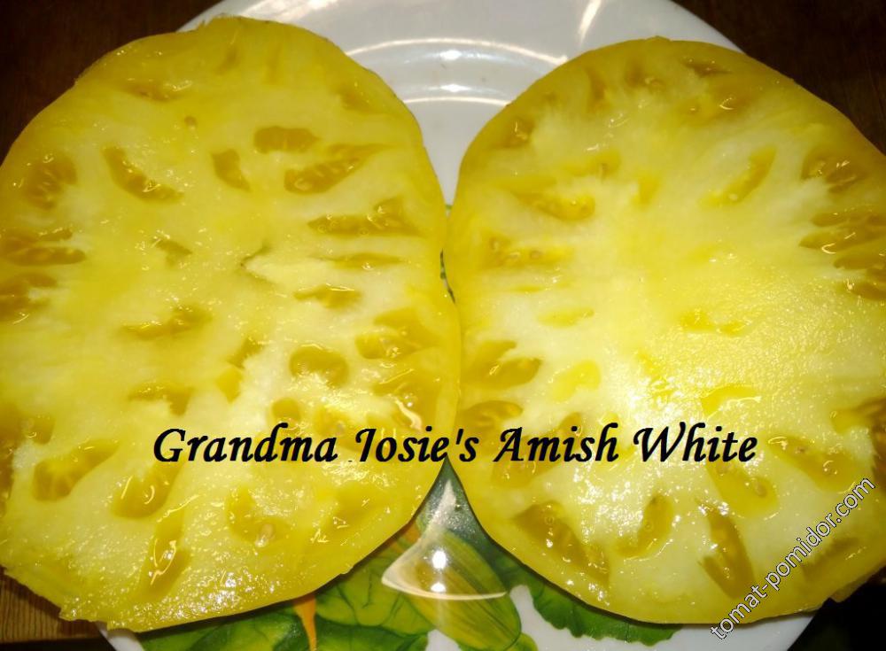 Grandma Josie's Amish White