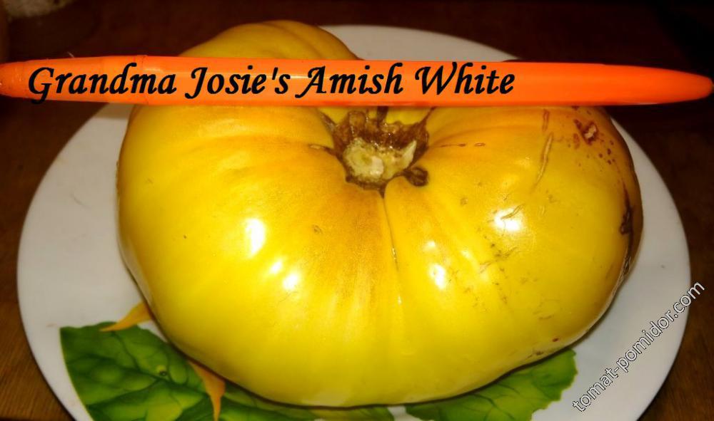 Grandma Josie's Amish White
