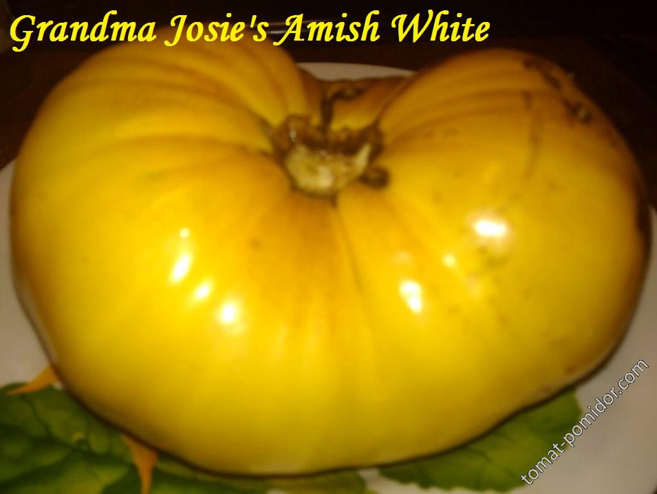 Grandma Josie's Amish White