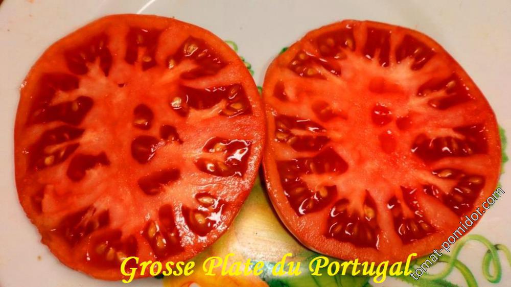 Grosse Plate du Portugal