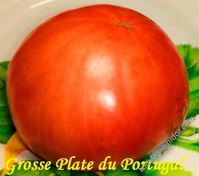 Grosse Plate du Portugal