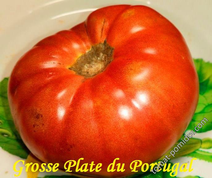 Grosse Plate du Portugal