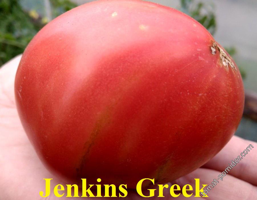 Jenkins Greek