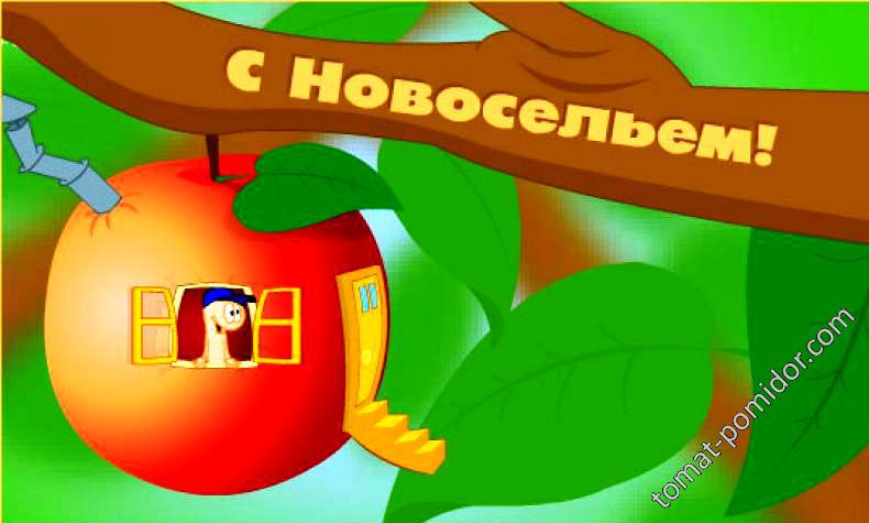 С новосельем